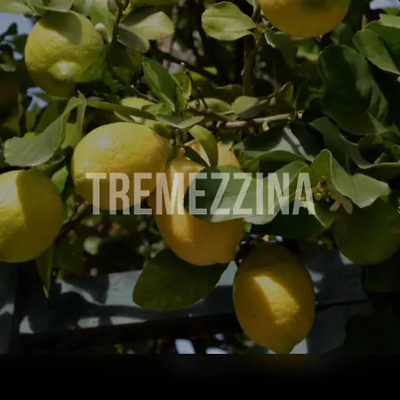 Il Nido Nella Quiete *