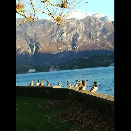 Il Nido Nella Quiete Apartament *