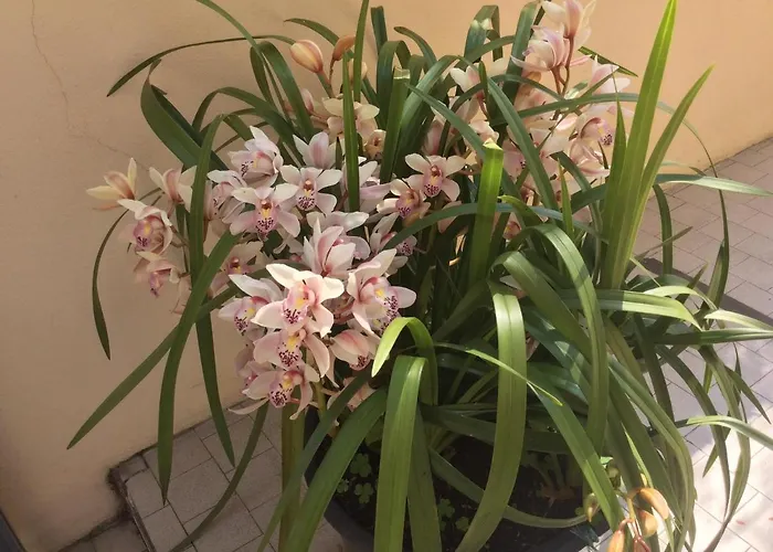 Il Nido Nella Quiete * Tremezzo