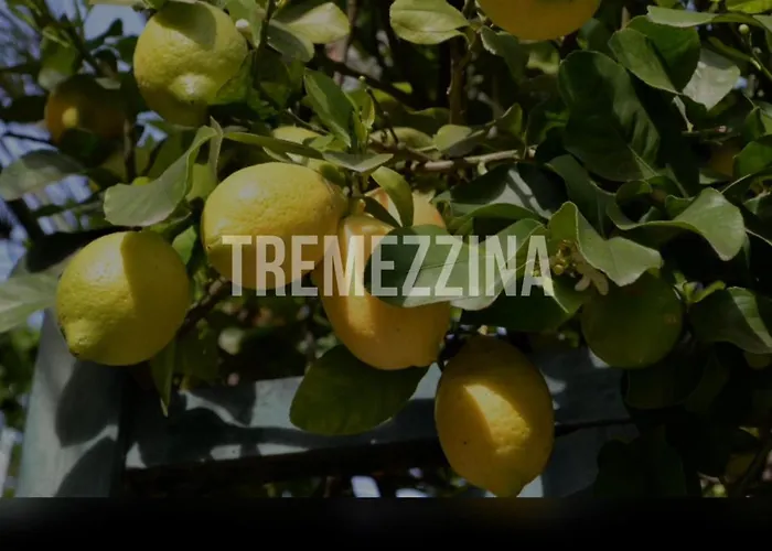 Il Nido Nella Quiete *