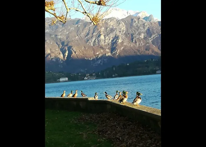 Il Nido Nella Quiete Appartement *